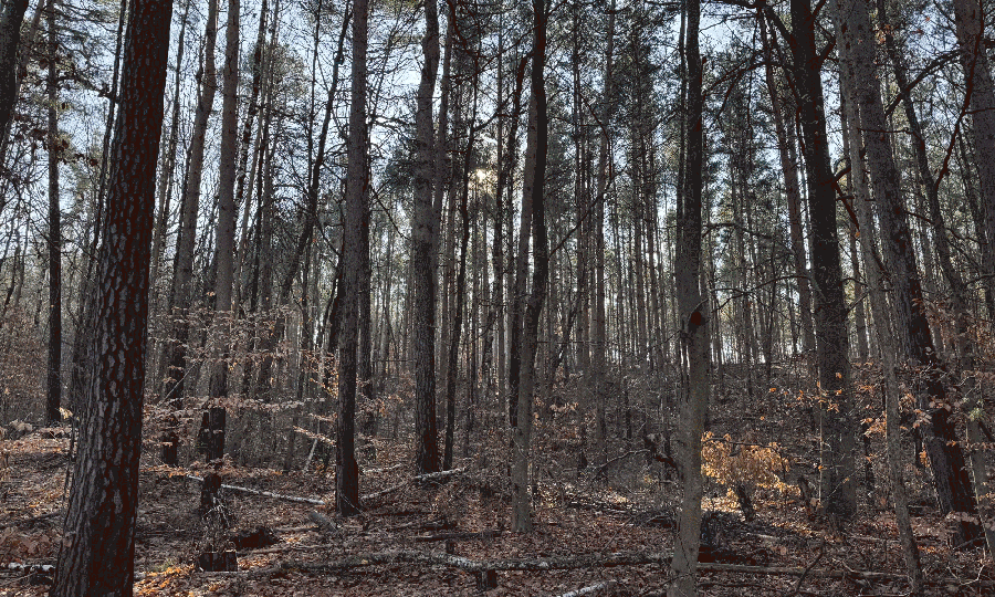 ezgif-28ad61440ba75.gif ezgif-28ad61440ba75.gif